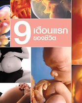 9 เดือนแรกของชีวิต [ภาษาThai-Karen]